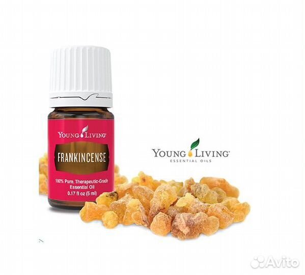 Эфирное масло ладан янг ливинг