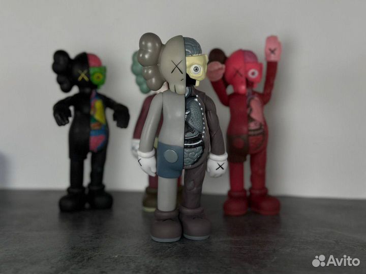 Kaws Anatomy