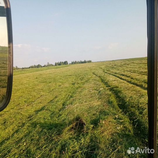 Сено в тюках