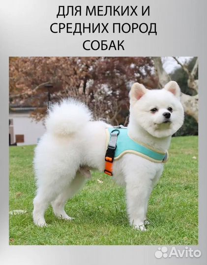 Шлейка с поводком для мелких собак размер L