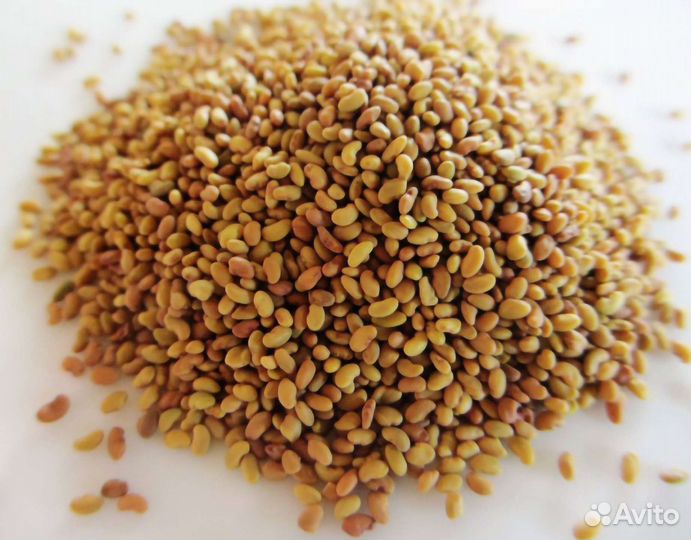 Люцерна.посевная(семена)