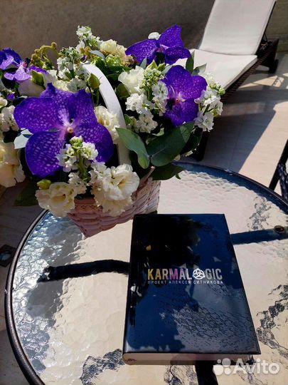 Karmalogic книга Алексея Ситникова
