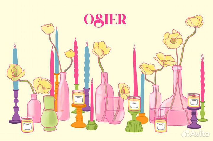 Дизайнер иллюстратор