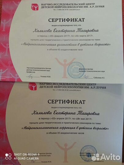 Развивающий педагог, няня