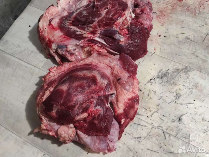 Мясо говядина для собак