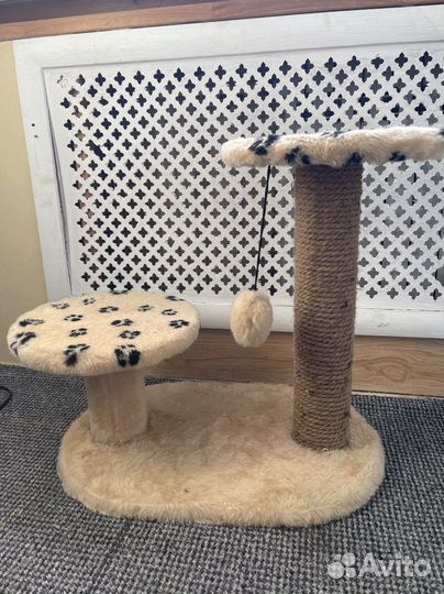 Когтеточка