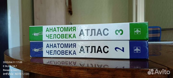 Анатомия человека, атлас 2 и 3 том