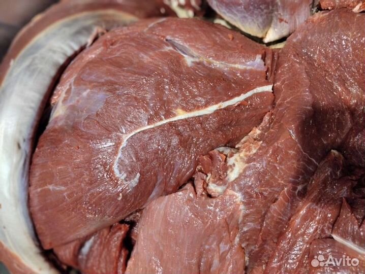 Мясо говядина