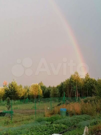 Участок 31 сот. (СНТ, ДНП)