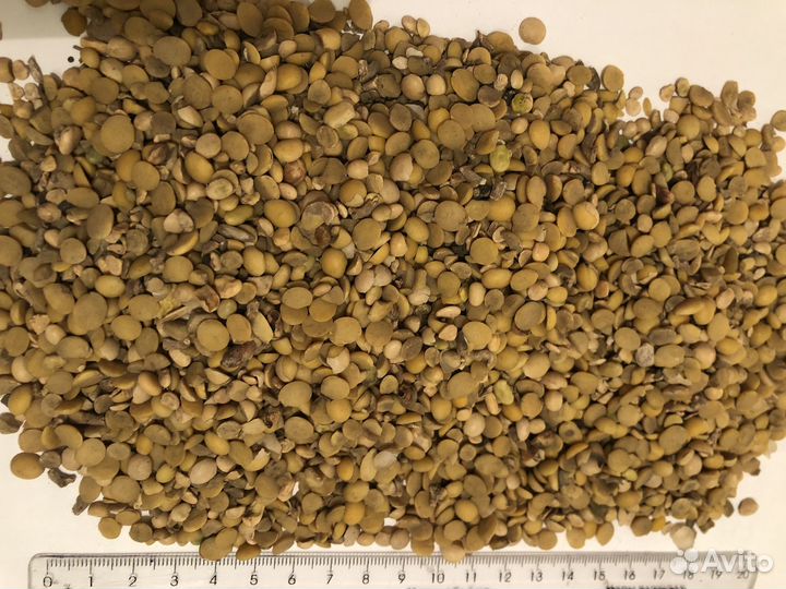 Соя половинки