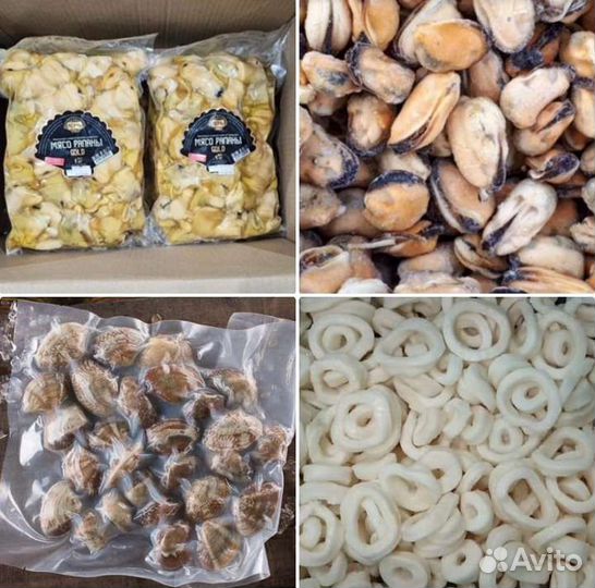 Мидии, рапаны, кальмары, вонголе