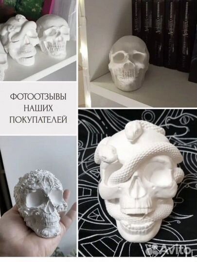 Черепа из гипса