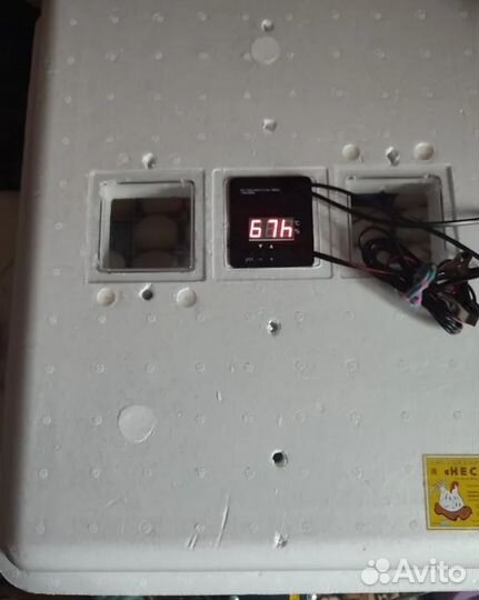 Инкубатор для яиц автоматический