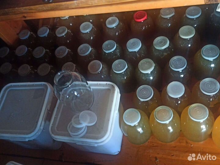 Мёд прямо из пасеки