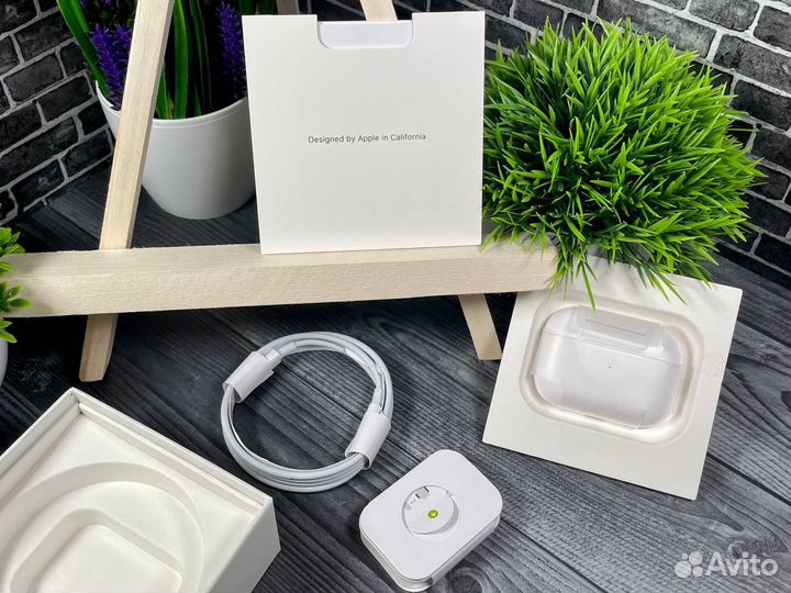 AirPods Pro 2 platinum+