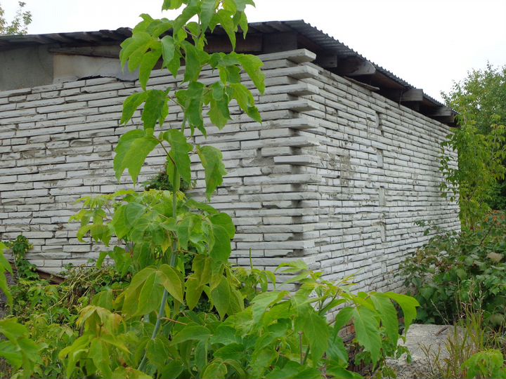 Дача 60 м² на участке 6 сот.