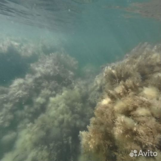 Водонепроницаемый ударопрочный чехол на смартфон