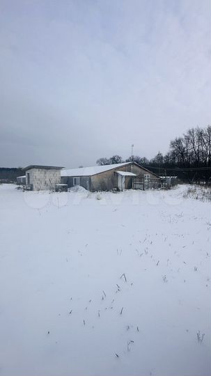 Участок 91,6 сот. (СНТ, ДНП)