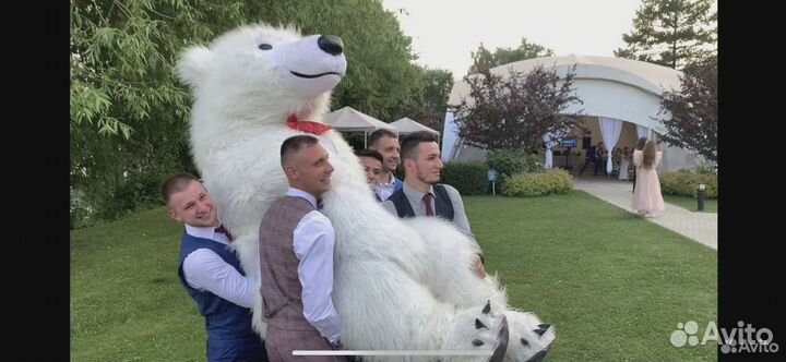 Белый мишка поздравление