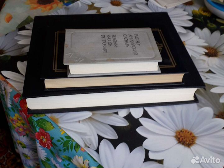 Англ.рус.словарьМюллер+рус.анг.+справ.программиста