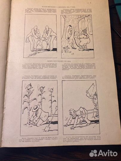 Карикатуры 