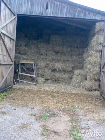 Сено в тюках