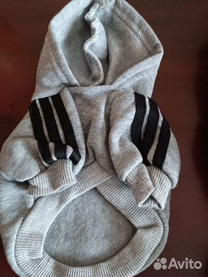 Одежда для собак мелких пород