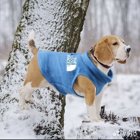 Жилетка для собак