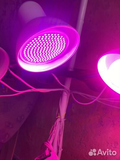 Лампа для растений