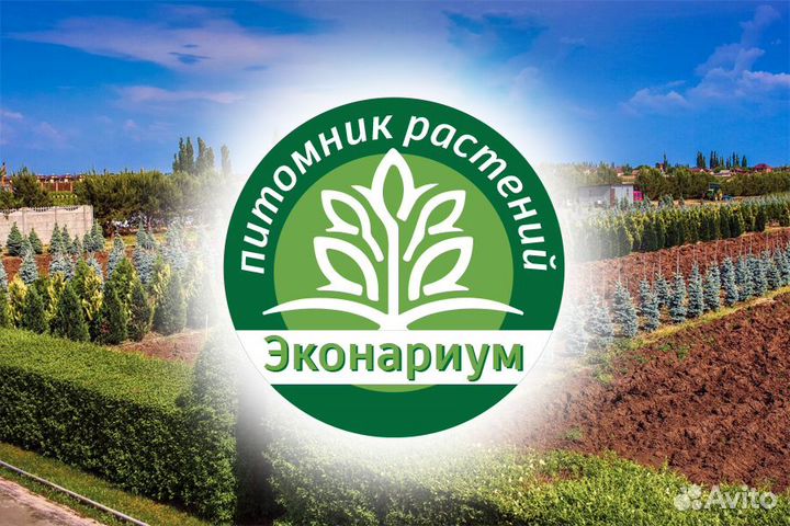 Создание логотипа