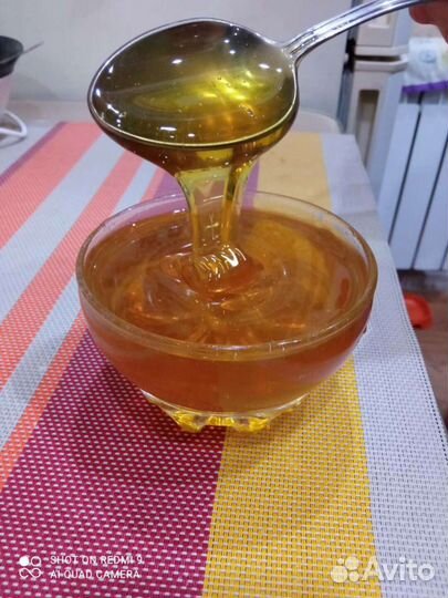 Мед,Перга,Пыльца,Соты,Прополис,Воск