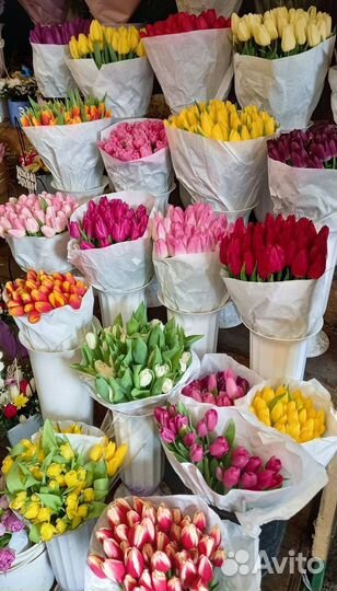 Букет тюльпанов