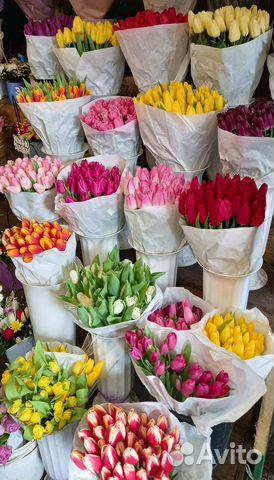 Букет тюльпанов