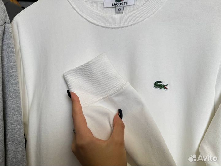 Свитшот Lacoste Мужской Оригинал-качество