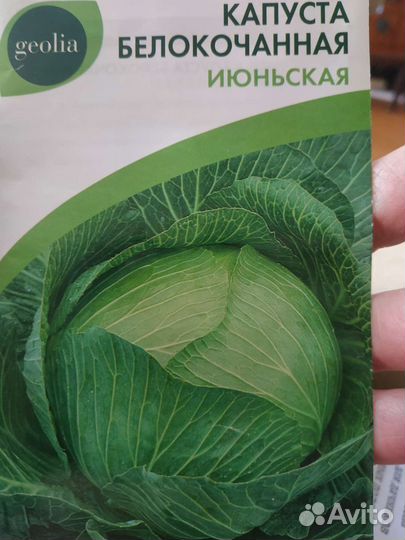 Капуста Июньская,Землячка,Слава,Московская поздняя