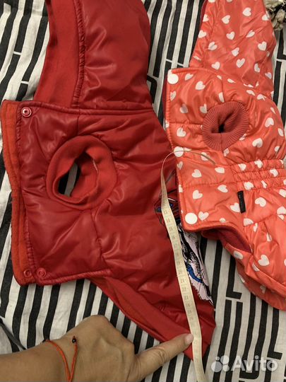 Одежда для маленьких собак