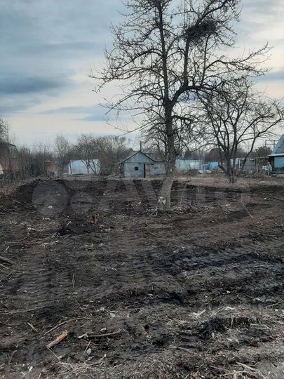Участок 6 сот. (СНТ, ДНП)
