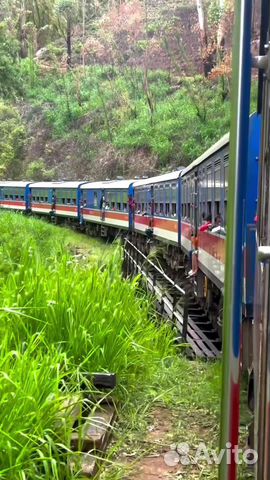 Горящий тур на Шри-Ланку из СПб - Санкт-Петербург - Авито