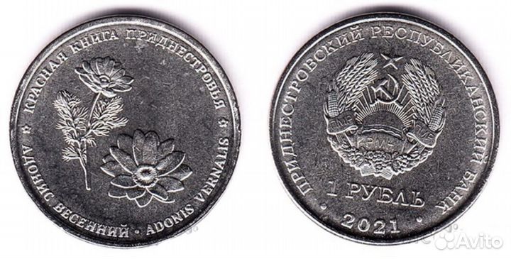 Приднестровье 1, 3, 25 рублей 2023 Столыпин, Одес