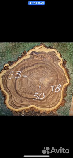 Спил слэб карагач