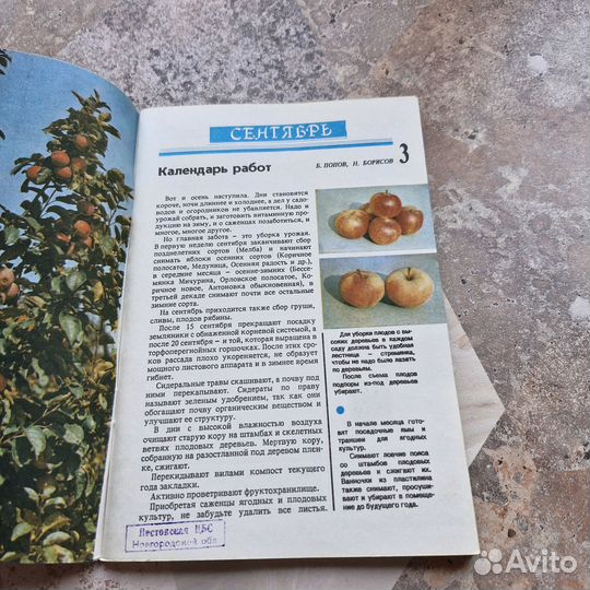 Сад и огород. Альманах. Выпуск №2. 1991 г