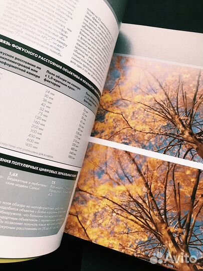 Композиция в цифровой фотосъемке (Крис Раттер)