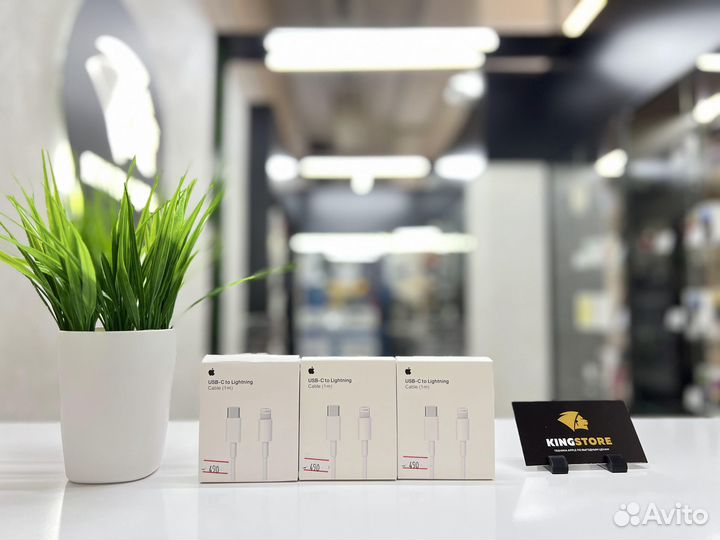 Apple USB-C to Lightning