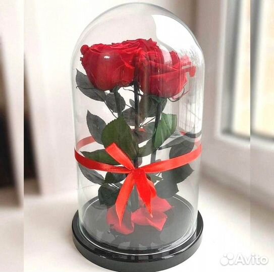 Розы в колбе на выбор