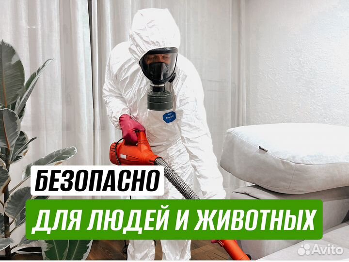 Уничтожение тараканов, клопов. Дезинфекция