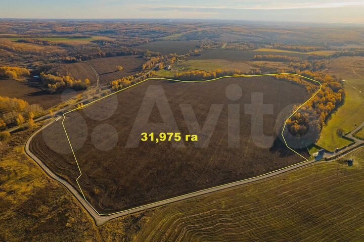 Участок 31,98 га (СНТ, ДНП)