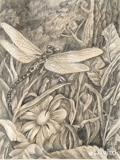 Картины графика