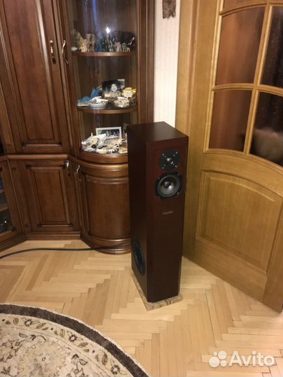 Напольная акустика Coincident