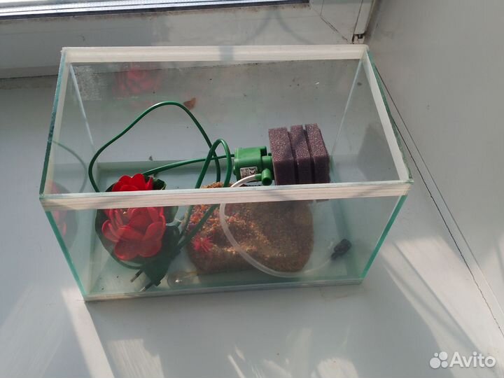 Аквариум для черепах