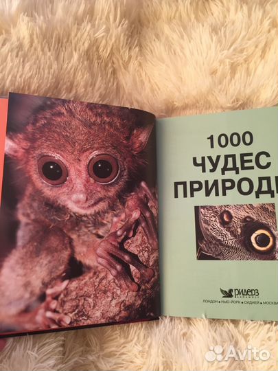 1000 чудес природы